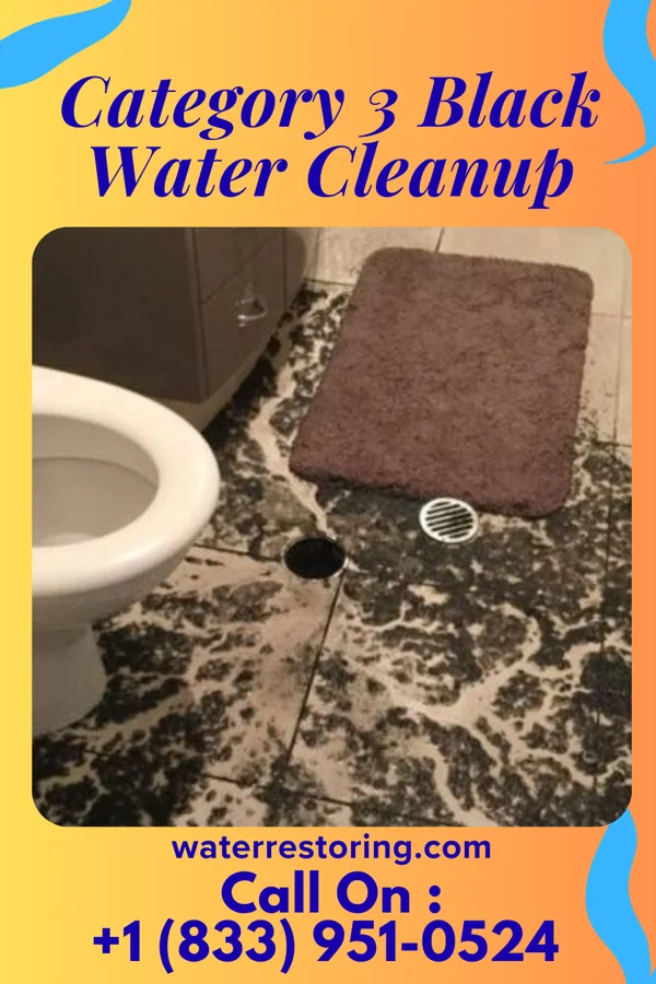 Category 3 Black Water Cleanup in Amesti, CA